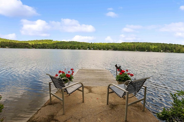 98 Marys Rd, Sunapee, NH 03782 - dock featuring a water view and a wooded view