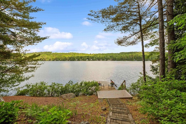 98 Marys Rd, Sunapee, NH 03782 - water view with a dock and a heavily wooded area