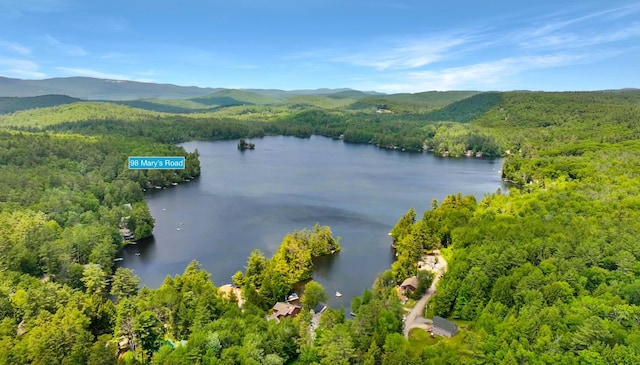 98 Marys Rd, Sunapee, NH 03782 - aerial view of a forest and a water and mountain view