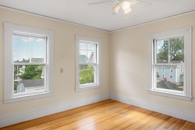 3 Essex St, Concord, NH 03301 - empty room featuring light wood-style flooring and ceiling fan