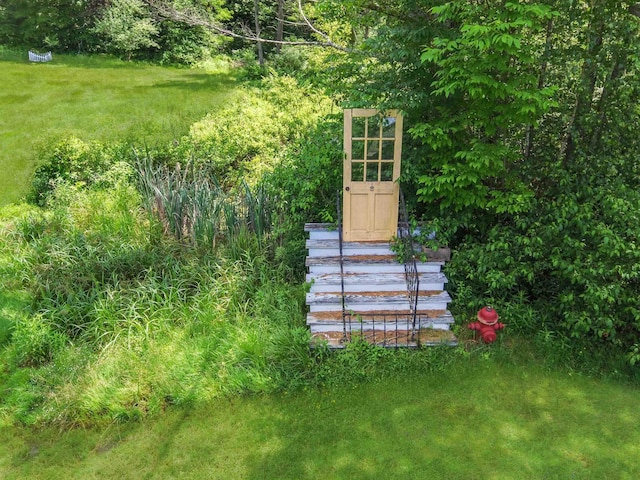 49 Bowker St, Claremont, NH 03743 - view of yard