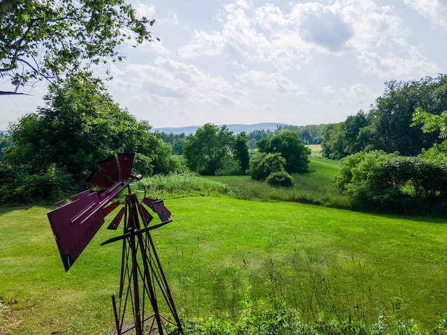 50 Lane Ridge Rd, Claremont, NH 03743 - view of grassy yard