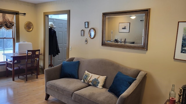 987 Dunbar Hill Rd, Grantham, NH 03753 - living area featuring light wood-style floors