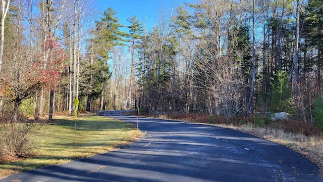 987 Dunbar Hill Rd, Grantham, NH 03753 - view of asphalt street featuring a forest view