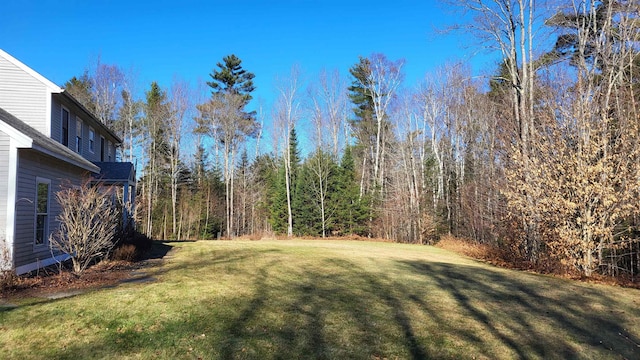 987 Dunbar Hill Rd, Grantham, NH 03753 - view of green lawn