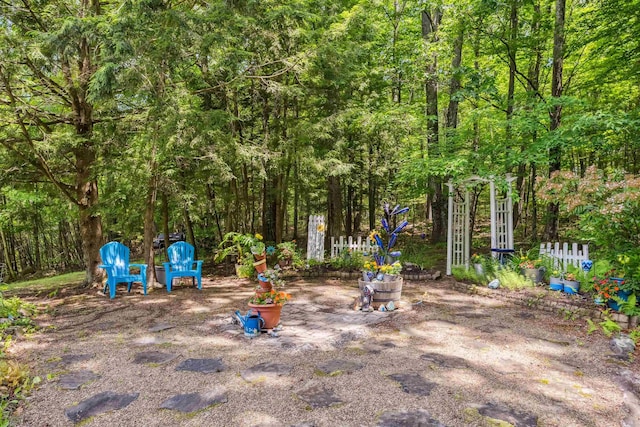 5 Cowin Rd, Merrimack, NH 03054 - view of yard