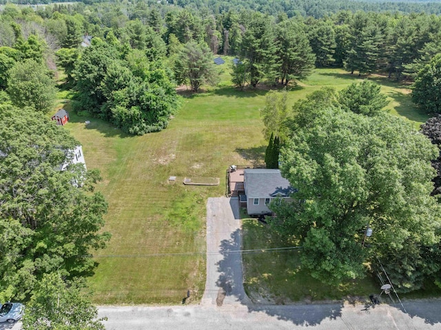 14 Anagance Ln, Wolfeboro, NH 03894 - drone / aerial view of a forest