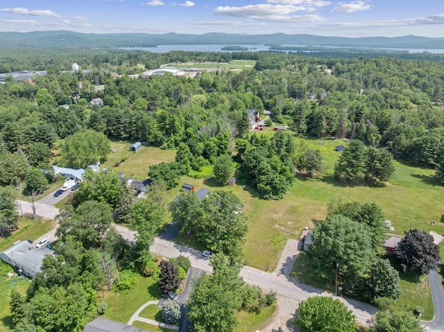 14 Anagance Ln, Wolfeboro, NH 03894 - aerial view of a mountainous background