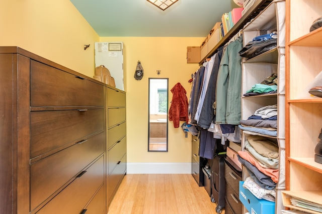 123 Stephen Dr, Goffstown, NH 03045 - spacious closet with light wood-style flooring
