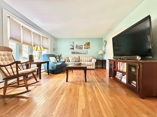 22 Mason Rd, Merrimack, NH 03054 - living room with light wood-style flooring