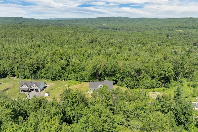 53 Richards Way, Farmington, NH 03835 - aerial view of a heavily wooded area