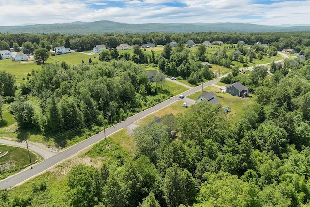 53 Richards Way, Farmington, NH 03835 - bird's eye view of mountains