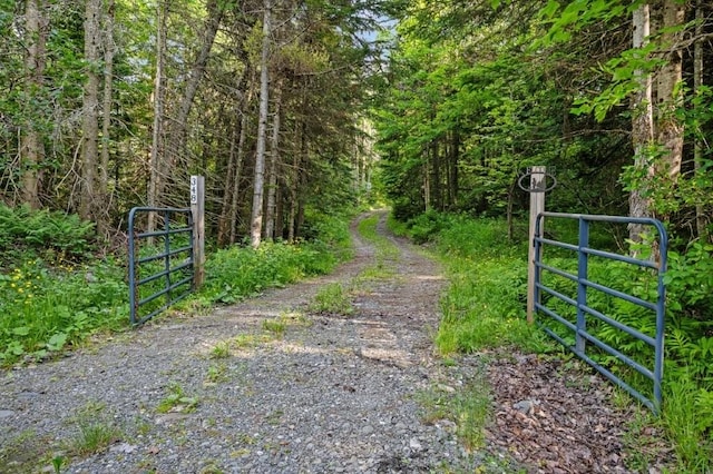348 Haynes Rd, Stewartstown, NH 03576