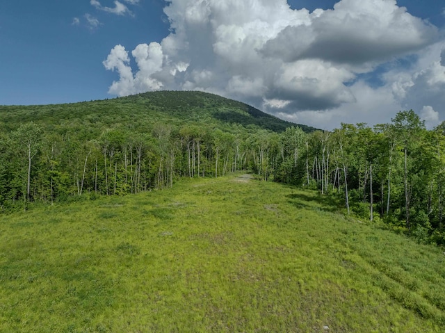 LOT54-3 Rte 115, Carroll, NH 03598