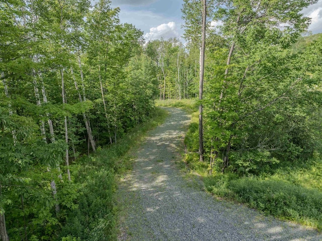LOT54-3 Rte 115, Carroll, NH 03598