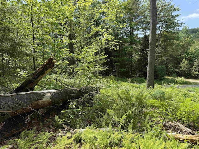 00 Walker Pit Rd, Concord, VT 05906