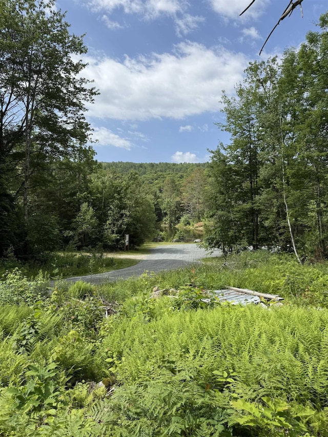 00 Walker Pit Rd, Concord, VT 05906