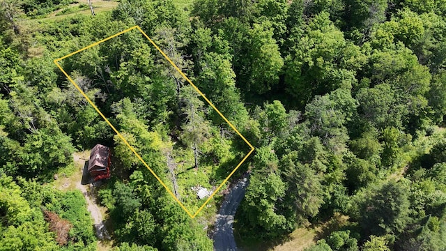00 Walker Pit Rd, Concord, VT 05906