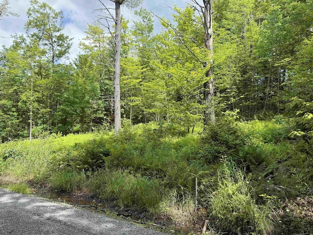00 Walker Pit Rd, Concord, VT 05906