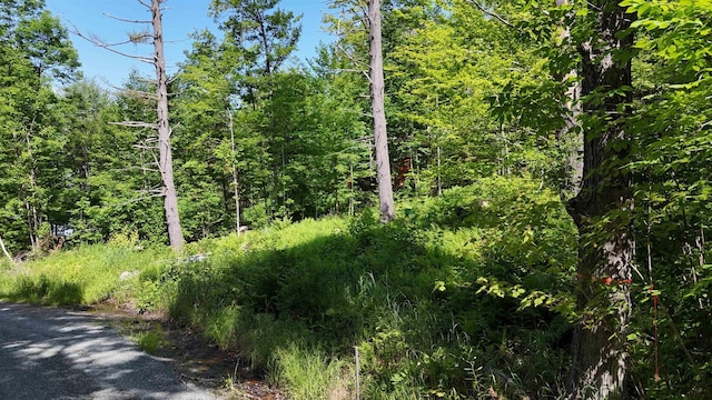 00 Walker Pit Rd, Concord, VT 05906