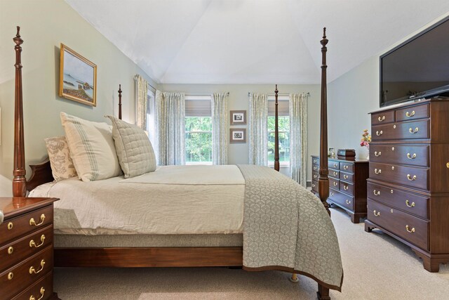 9 Deerhaven Dr, Exeter, NH 03833 - bedroom with light colored carpet and vaulted ceiling