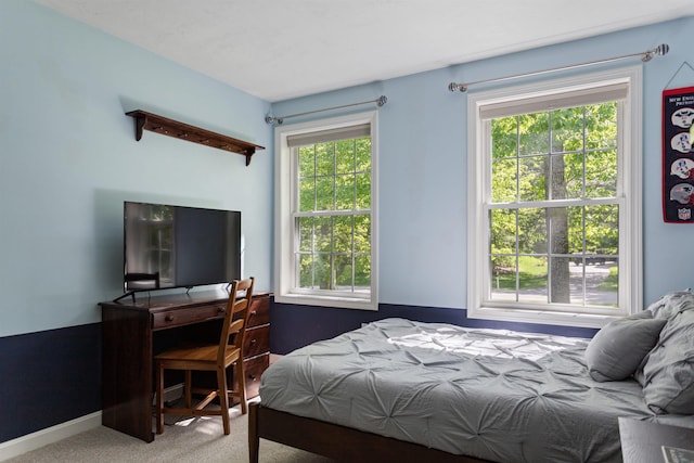 9 Deerhaven Dr, Exeter, NH 03833 - carpeted bedroom with multiple windows