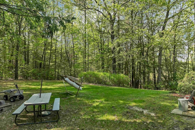 93 Birch Rd, Chester, NH 03036 - view of home's community featuring a lawn and a forest view
