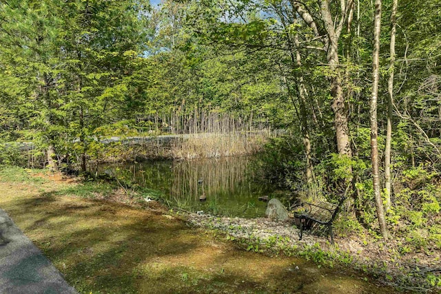 93 Birch Rd, Chester, NH 03036 - view of yard with a wooded view