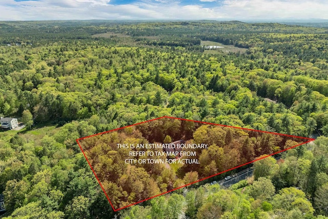 93 Birch Rd, Chester, NH 03036 - view of property location featuring a forest and property boundaries highlighted