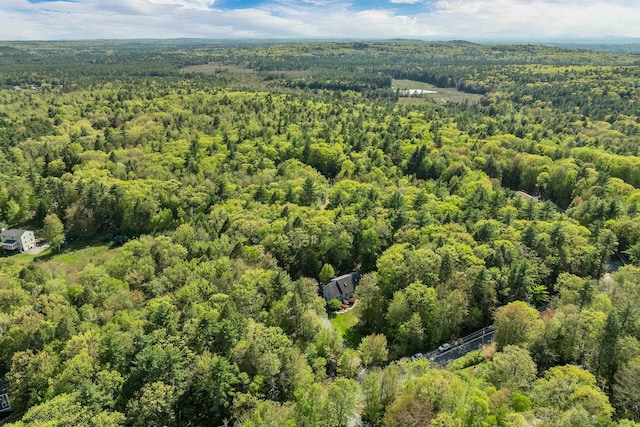 93 Birch Rd, Chester, NH 03036 - bird's eye view of a heavily wooded area