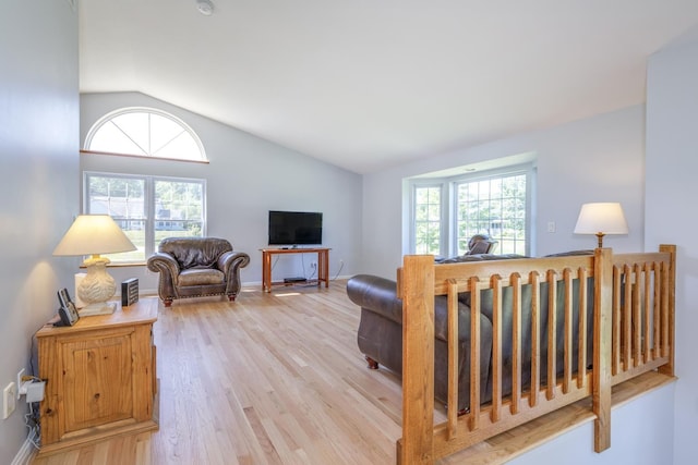 4 Lancer Ln, Danville, NH 03819 - living room featuring vaulted ceiling, plenty of natural light, and wood finished floors