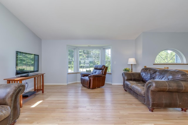 4 Lancer Ln, Danville, NH 03819 - living room with light wood-type flooring and baseboards