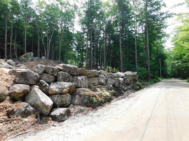 0 Bog Rd, Hillsborough, NH 03244
