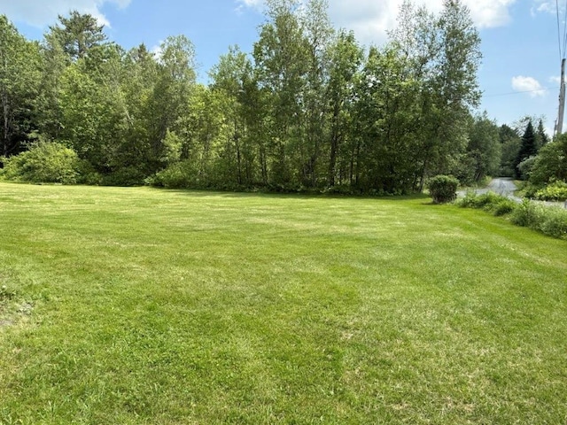 25 Rogers Way, Canaan, NH 03741 - view of grassy yard