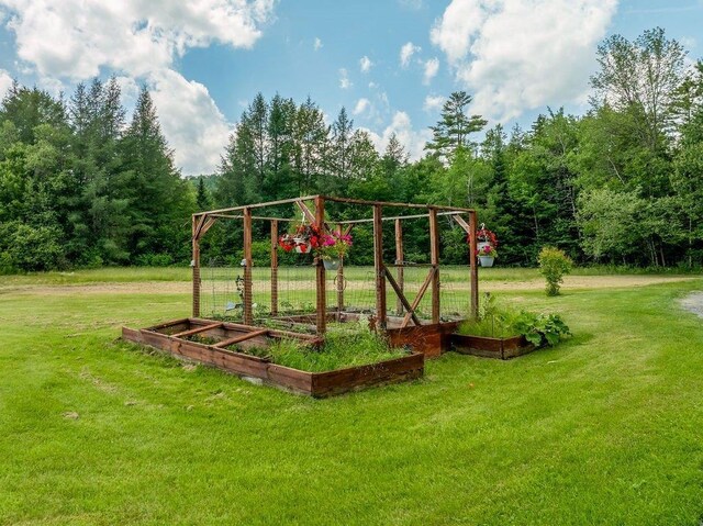 25 Rogers Way, Canaan, NH 03741 - view of jungle gym with a vegetable garden and a yard