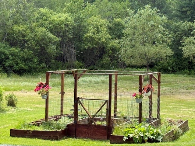 25 Rogers Way, Canaan, NH 03741 - gate featuring a wooded view, a lawn, and a vegetable garden