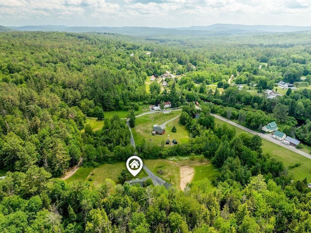 25 Rogers Way, Canaan, NH 03741 - drone / aerial view of a heavily wooded area