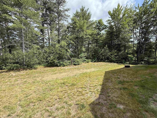 3800 Province Lake Rd, Wakefield, NH 03830 - view of grassy yard with a forest view