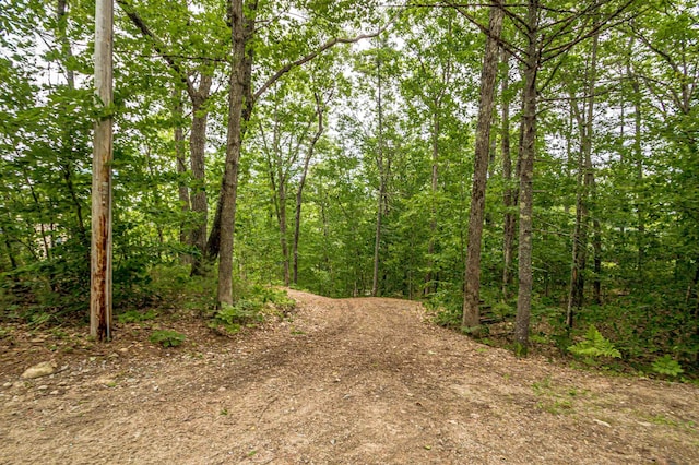 30 Thoreau Trl, Wakefield, NH 03830 - view of woods