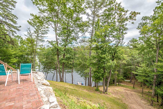 30 Thoreau Trl, Wakefield, NH 03830 - view of yard