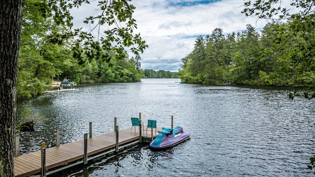 30 Thoreau Trl, Wakefield, NH 03830 - dock with a water view and a view of trees