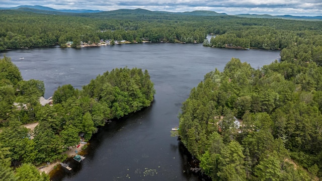 30 Thoreau Trl, Wakefield, NH 03830 - aerial view of property's location featuring a water and mountain view