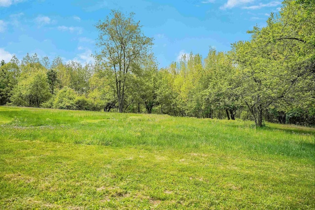102 Hubbard Hill Rd, Rindge, NH 03461 - view of wooded area