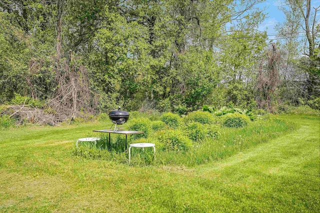 102 Hubbard Hill Rd, Rindge, NH 03461 - view of yard