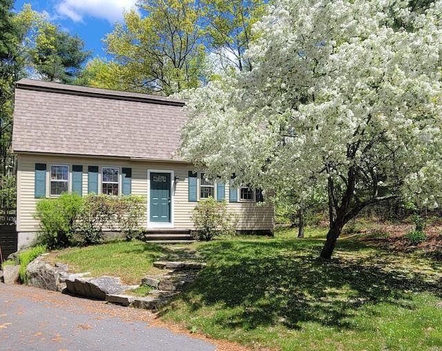 16 Custer Cir, Nashua, NH 03062 - view of front of home featuring a front lawn, roof with shingles, and entry steps
