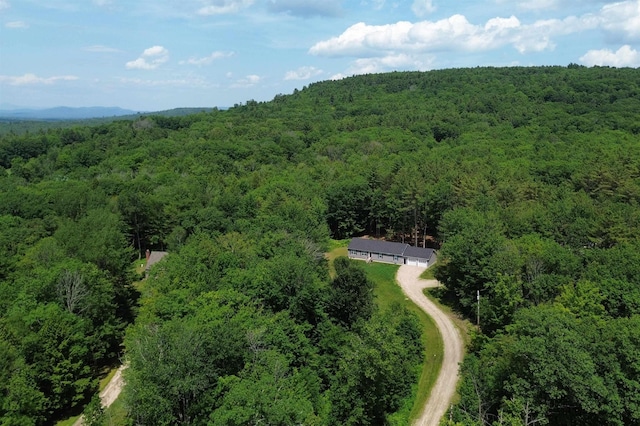 23 Pork Hill Rd, Ossipee, NH 03864 - bird's eye view of a forest