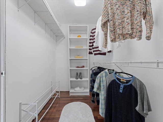 1 Dragonfly Way, Londonderry, NH 03053 - spacious closet with wood finished floors