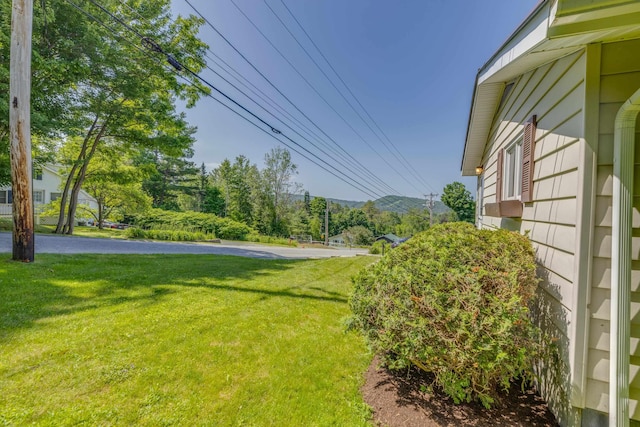 141 Manns Hill Rd, Littleton, NH 03561 - view of green lawn