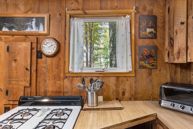 396 Mica Point Rd, Barrington, NH 03825 - kitchen featuring wood walls and stove