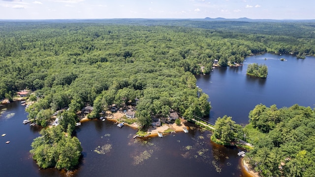 396 Mica Point Rd, Barrington, NH 03825 - aerial view of a large body of water